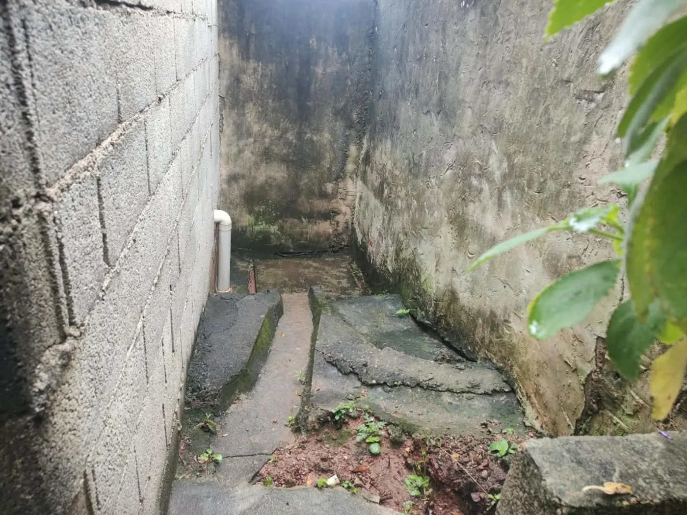 Comprar Casa / Padr&atilde;o em V&aacute;rzea Paulista R$ 520.000,00 - Foto 22