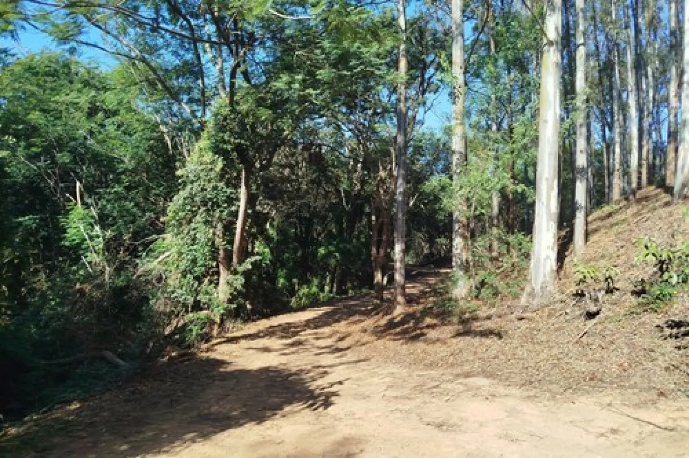 Comprar Casa / Padr&atilde;o em Cabre&uacute;va R$ 820.000,00 - Foto 23
