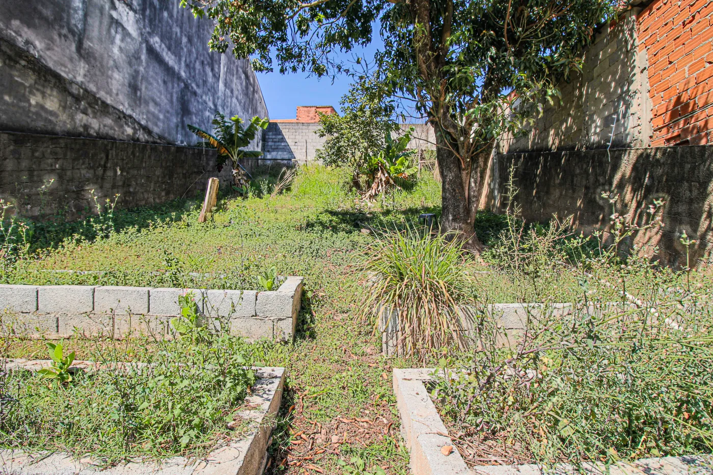 Comprar Terreno / Padr&atilde;o em Campo Limpo Paulista R$ 100.000,00 - Foto 2