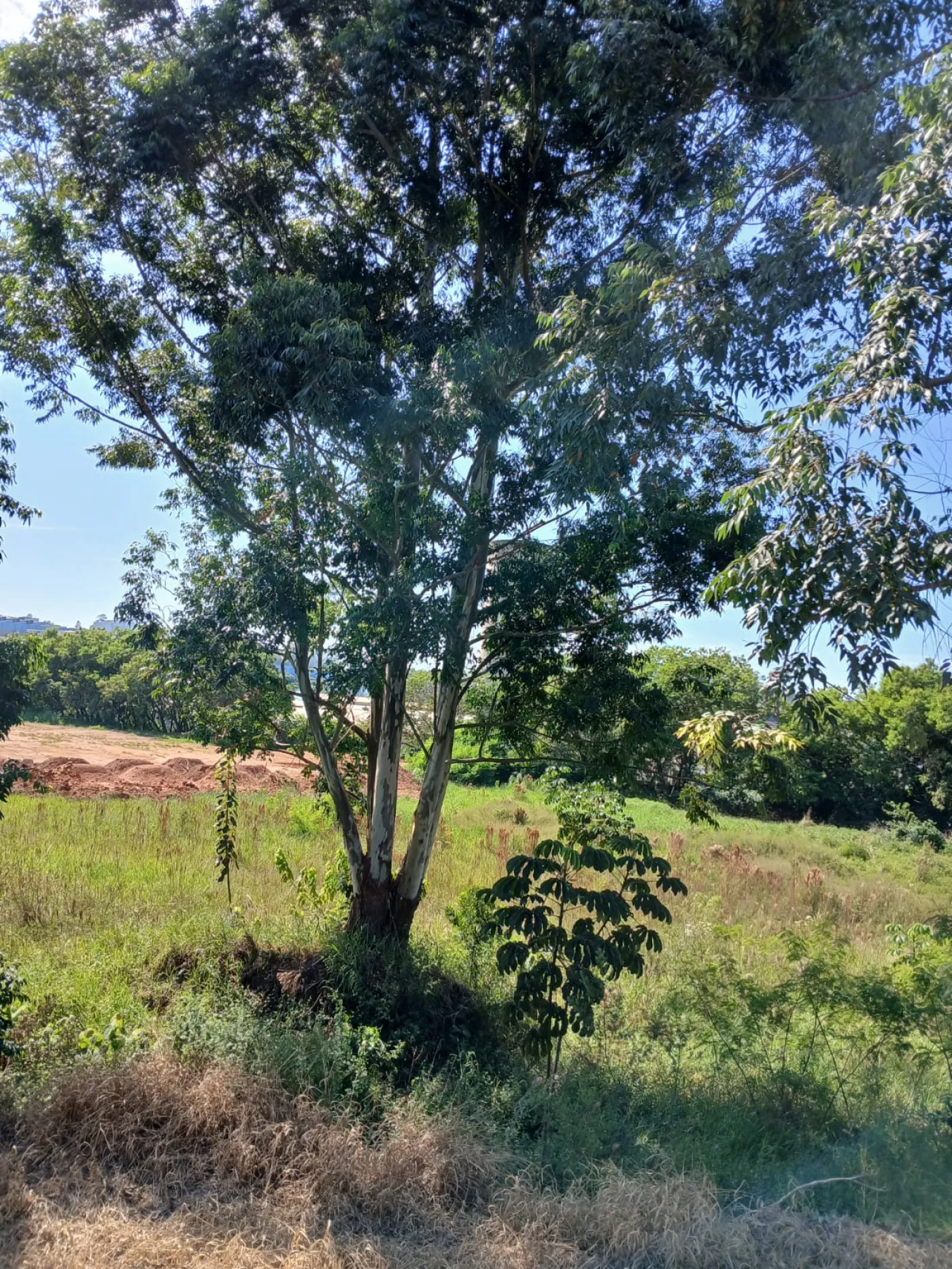 Comprar Terreno / Padr&atilde;o em V&aacute;rzea Paulista R$ 10.800.000,00 - Foto 8