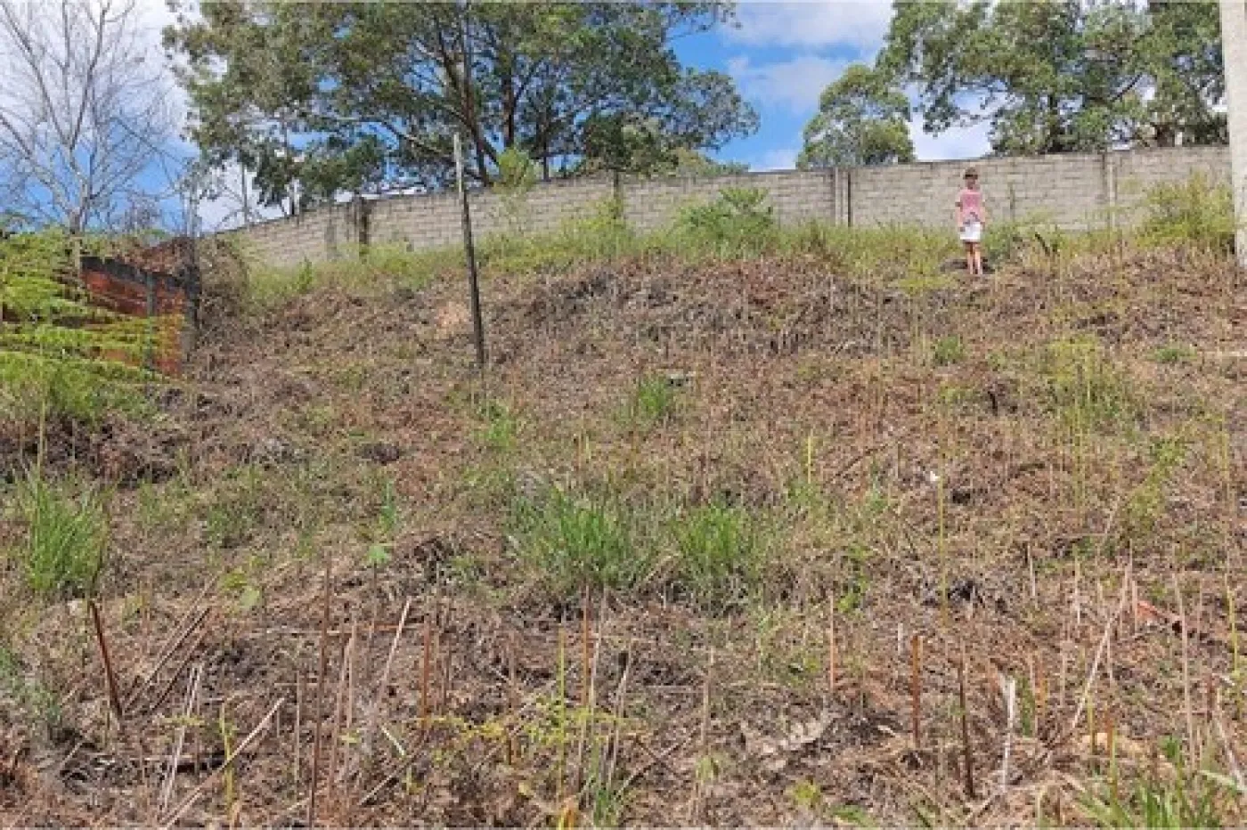 Comprar Terreno / Padr&atilde;o em Campo Limpo Paulista R$ 89.000,00 - Foto 11