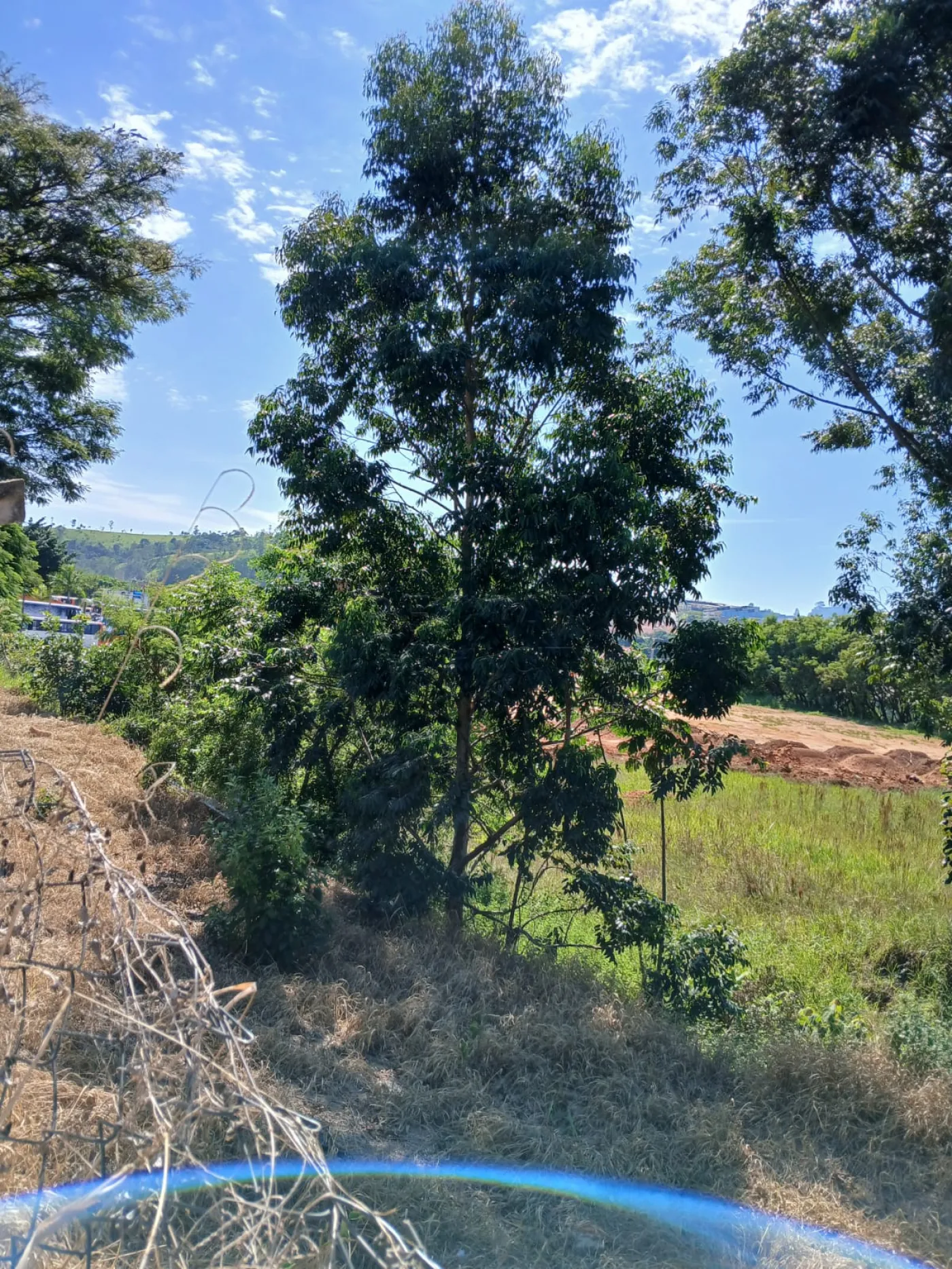 Comprar Terreno / &Aacute;rea em V&aacute;rzea Paulista R$ 2.135.000,00 - Foto 19