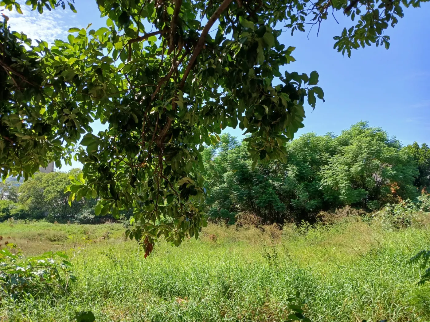 Comprar Terreno / &Aacute;rea em V&aacute;rzea Paulista R$ 2.135.000,00 - Foto 21