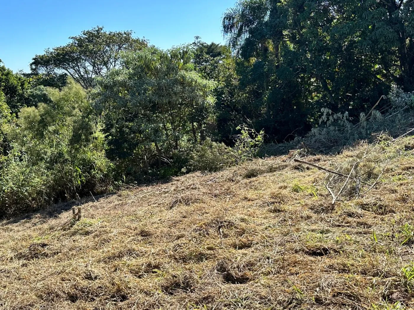 Comprar Terreno / Padr&atilde;o em Campo Limpo Paulista R$ 235.000,00 - Foto 7