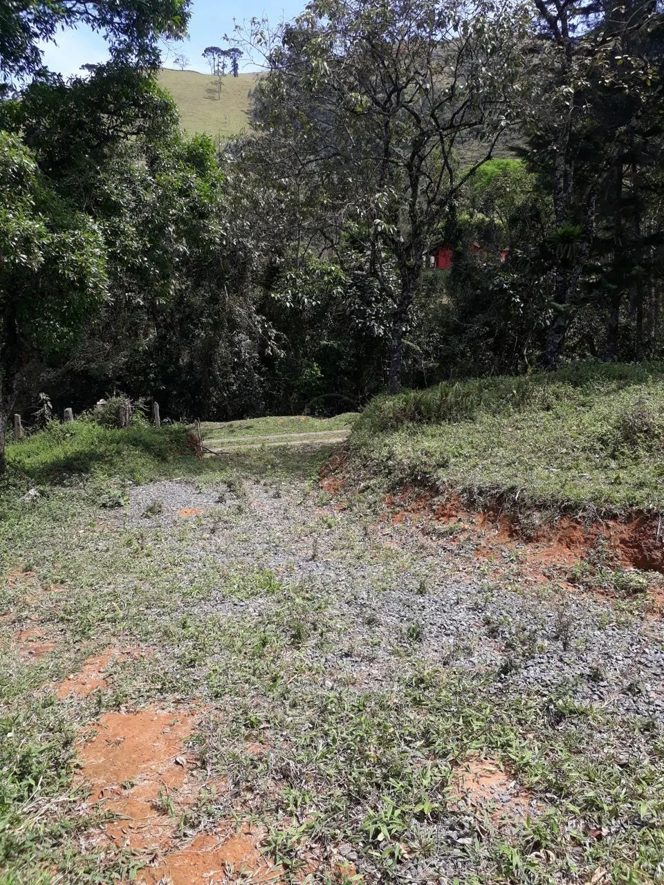 Comprar Terreno / Padr&atilde;o em S&atilde;o Jos&eacute; dos Campos R$ 266.000,00 - Foto 8