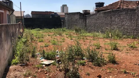Terreno localizado no Bairro Nova Gerty, em S�o Caetano Do Sul.