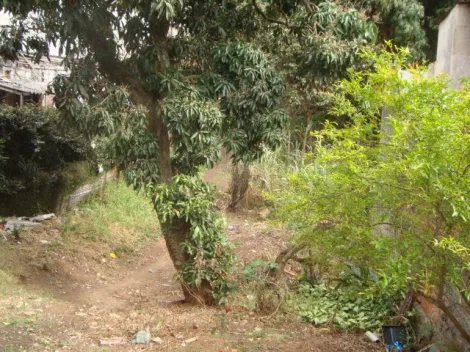 Terreno localizado no Bairro Boa Vista, em S�o Caetano Do Sul