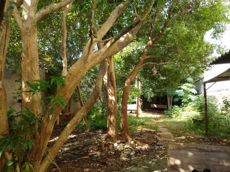 Terreno localizado no Bairro Nova Gerty, em S�o Caetano Do Sul