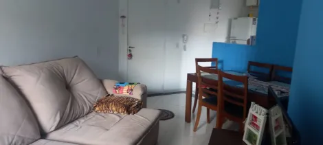 Apartamento com 2 dormit�rios no Bairro S�o Jo�o Cl�maco em S�o Paulo