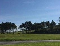 Terreno � Venda - Rodovia Castelo Branco - Sorocaba