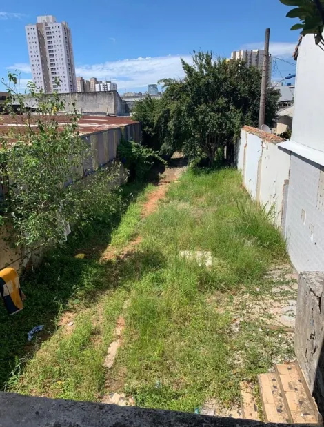Terreno localizado no bairro Funda��o, em S�o Caetano Do Sul.  -