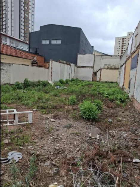 Terreno localizado no Bairro Funda��o, em S�o Caetano Do Sul.