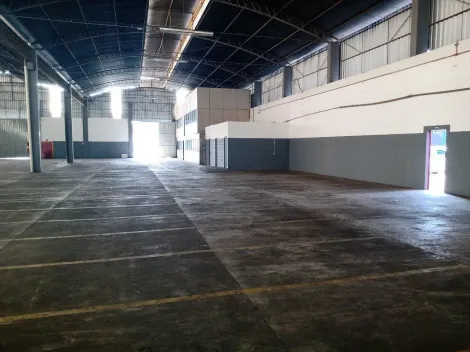 Galp�o em Sumar�