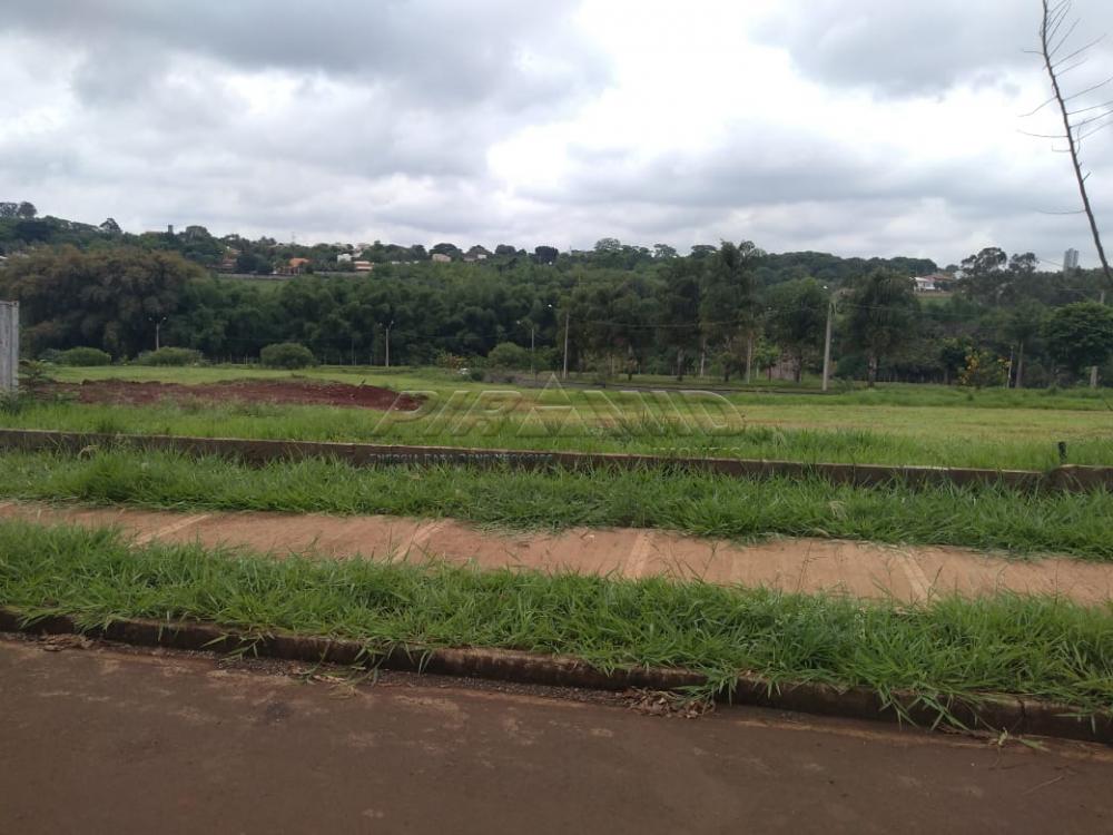 Alugar Terreno / Terreno em Bonfim Paulista R$ 3.500,00 - Foto 1