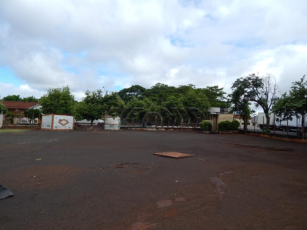 Ribeirão Preto Terreno Locacao R$ 20.000,00  Area do terreno 1200.00m2  - foto 3