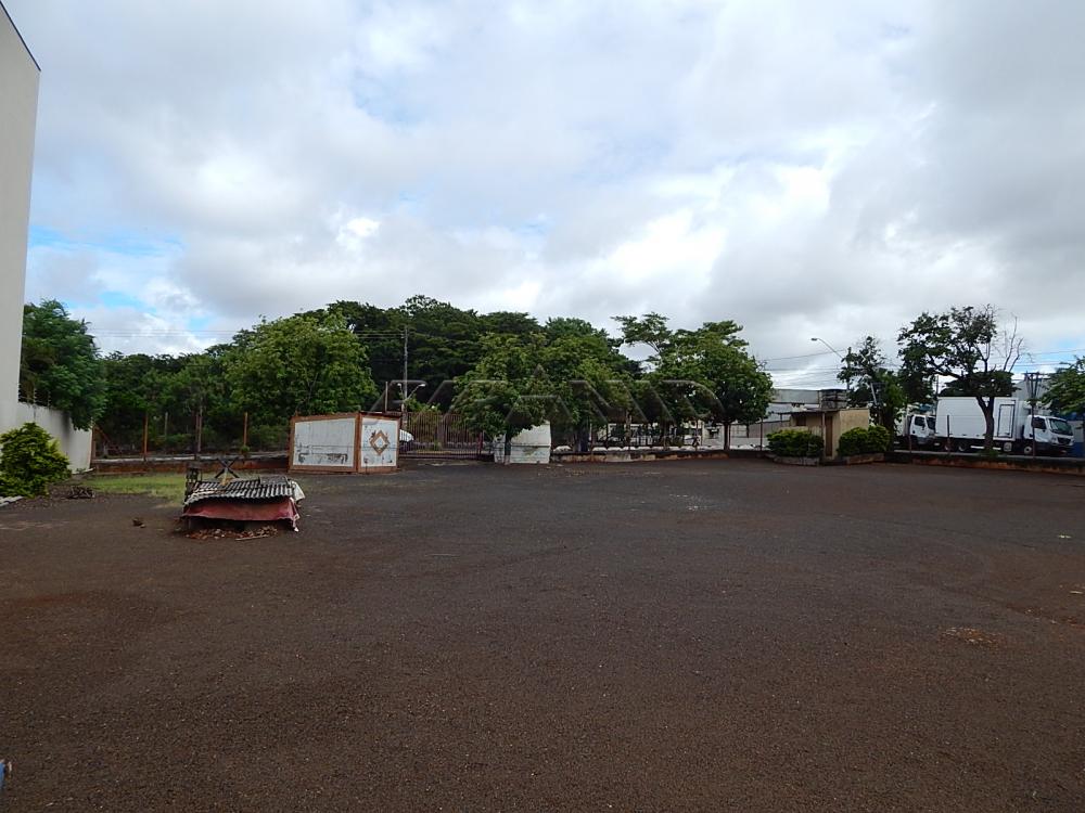 Ribeirão Preto Terreno Locacao R$ 20.000,00  Area do terreno 1200.00m2  - foto 4