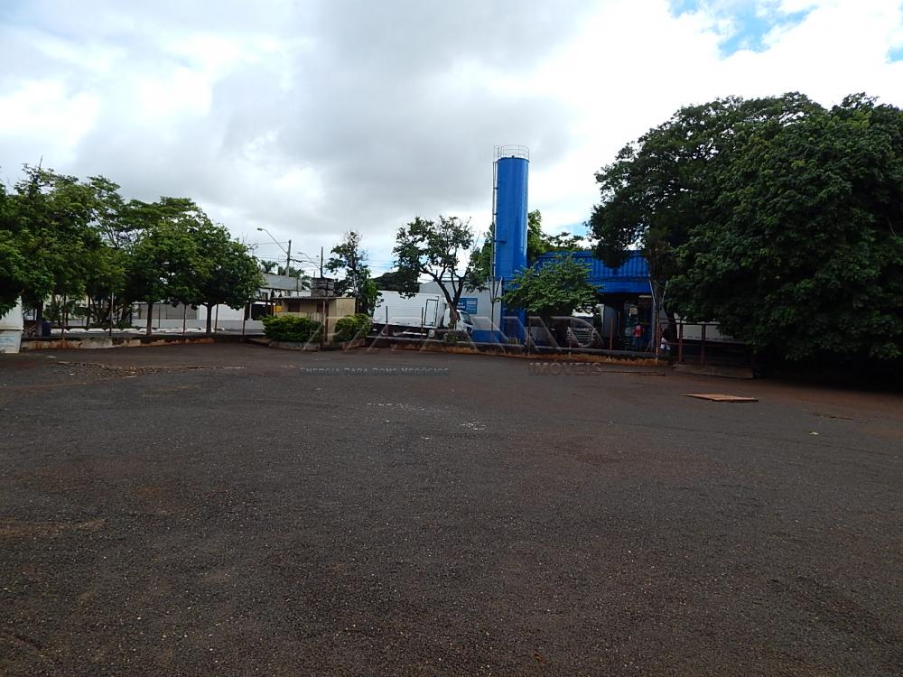 Ribeirão Preto Terreno Locacao R$ 20.000,00  Area do terreno 1200.00m2  - foto 5