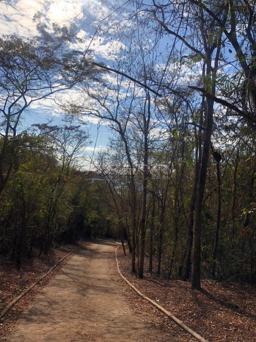 Comprar Rural / Rancho em Miguel&oacute;polis R$ 1.800.000,00 - Foto 11