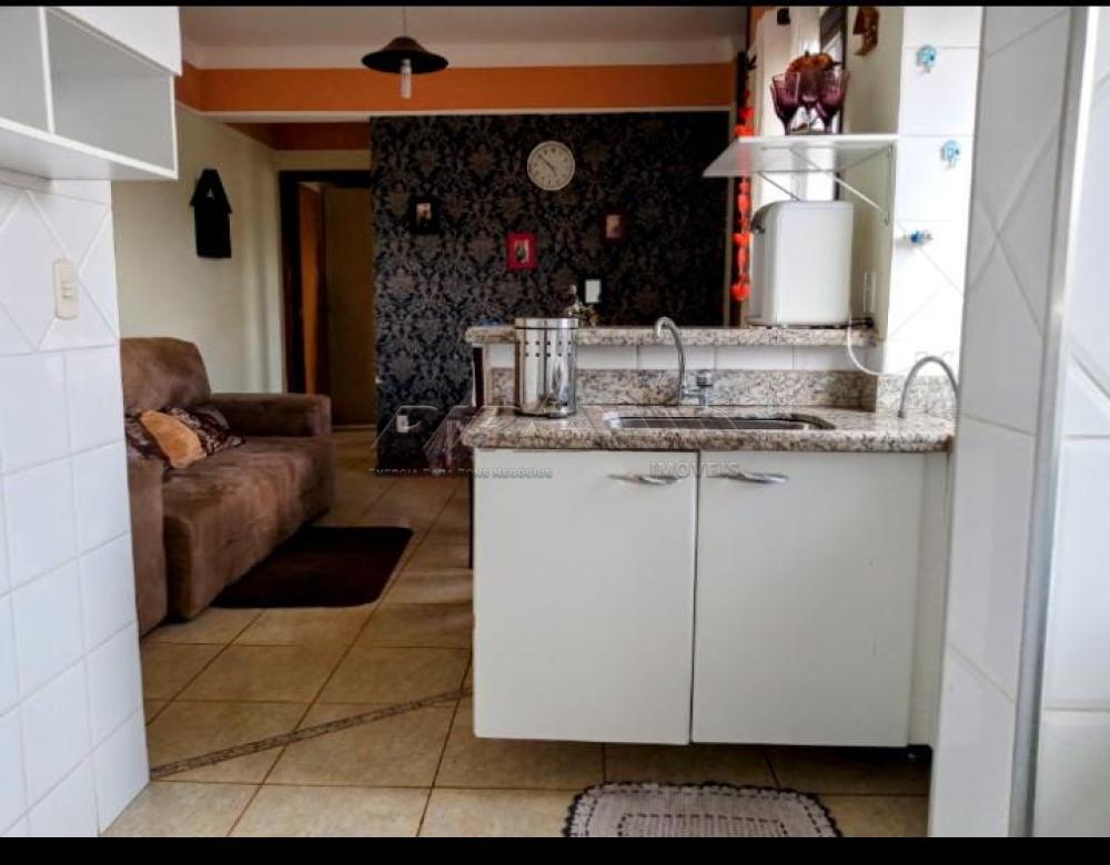 Alugar Apartamento / Padr&atilde;o em Ribeir&atilde;o Preto R$ 850,00 - Foto 5