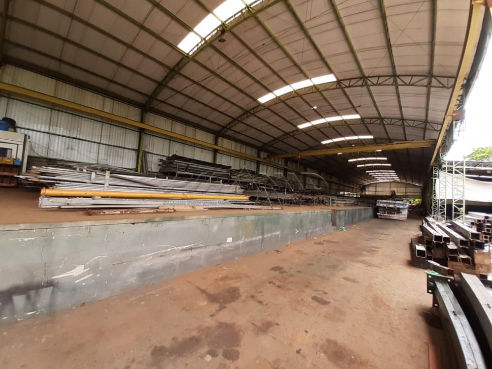 Alugar Comercial / Galp&atilde;o  Barrac&atilde;o em Ribeir&atilde;o Preto R$ 30.000,00 - Foto 28