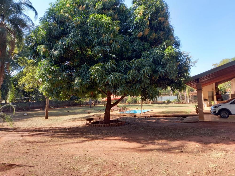 Alugar Rural / Ch&aacute;cara em Ribeir&atilde;o Preto R$ 2.900,00 - Foto 7