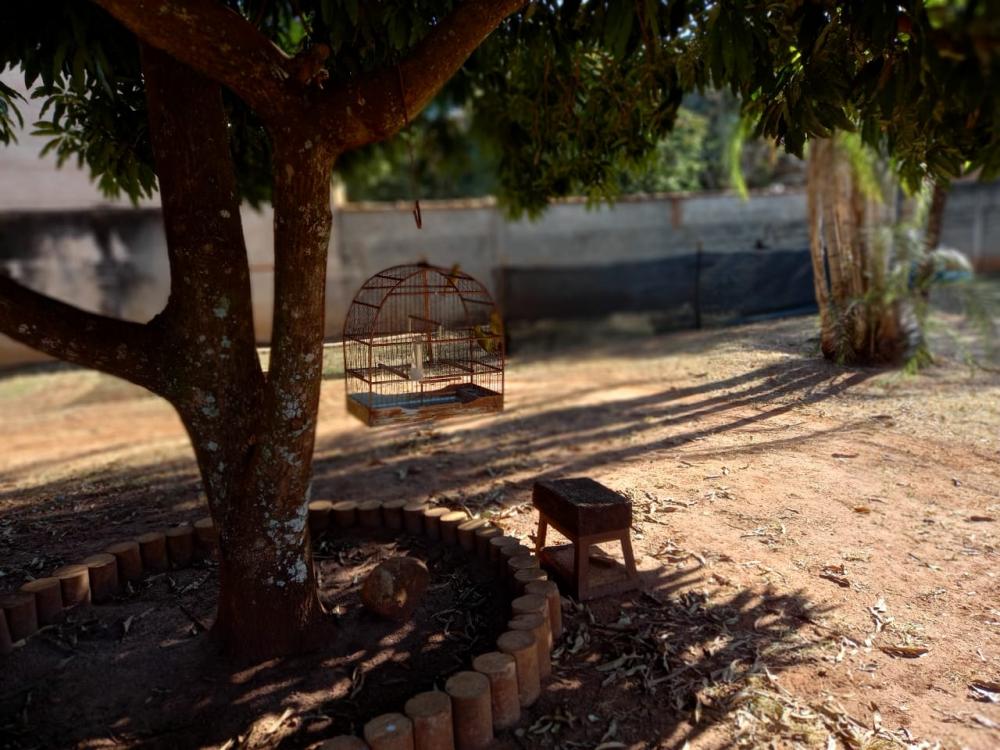 Alugar Rural / Ch&aacute;cara em Ribeir&atilde;o Preto R$ 2.900,00 - Foto 31