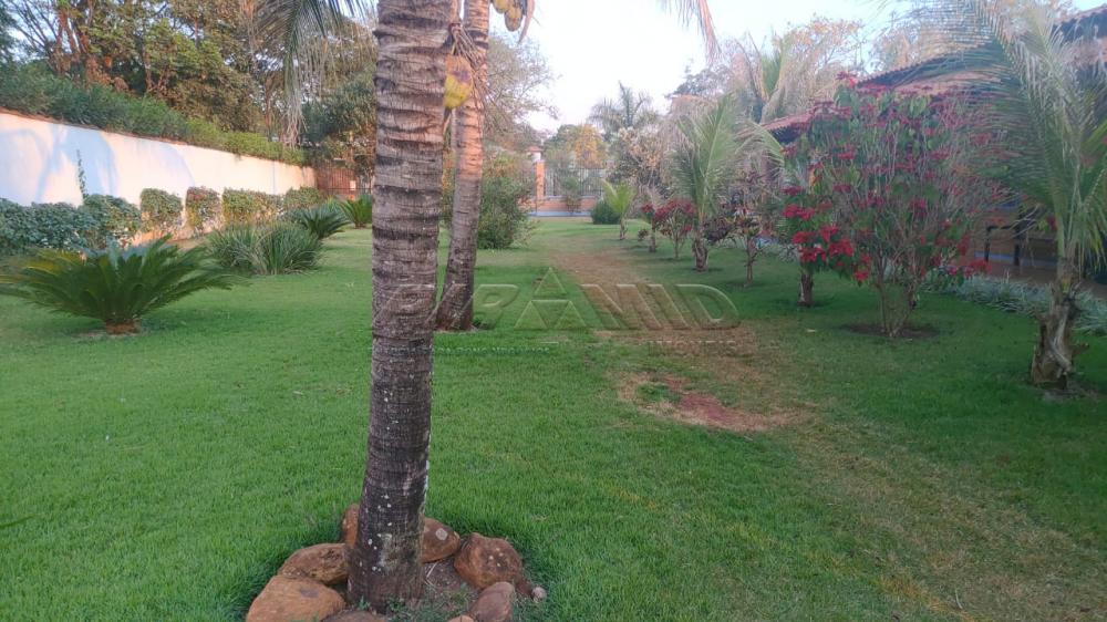 Comprar Rural / Ch&aacute;cara em Ribeir&atilde;o Preto R$ 2.800.000,00 - Foto 37