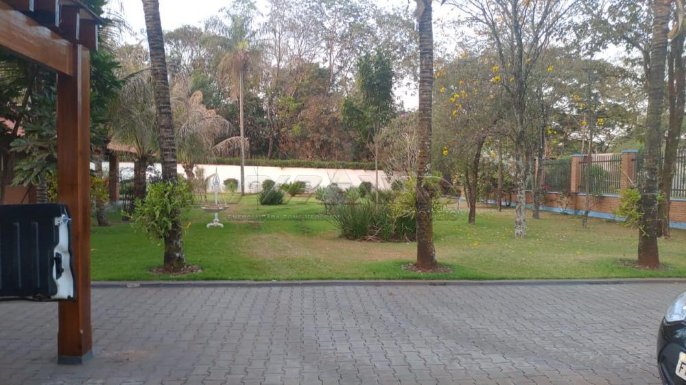 Comprar Rural / Ch&aacute;cara em Ribeir&atilde;o Preto R$ 2.800.000,00 - Foto 39