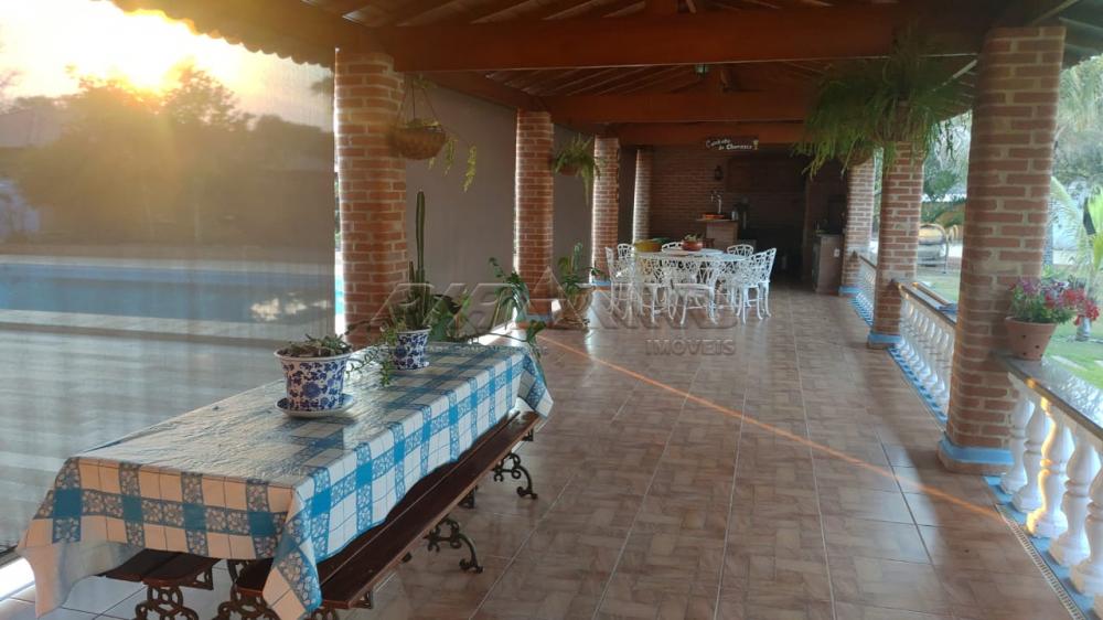 Comprar Rural / Ch&aacute;cara em Ribeir&atilde;o Preto R$ 2.800.000,00 - Foto 40