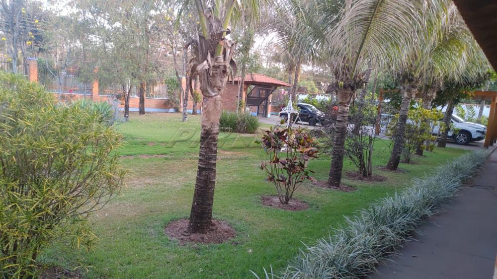 Comprar Rural / Ch&aacute;cara em Ribeir&atilde;o Preto R$ 2.800.000,00 - Foto 41