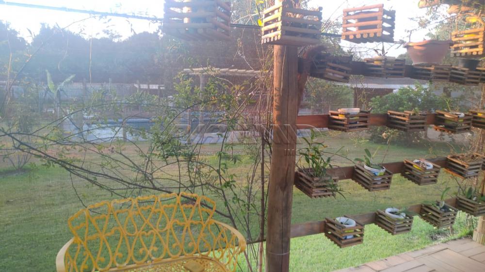 Comprar Rural / Ch&aacute;cara em Ribeir&atilde;o Preto R$ 2.800.000,00 - Foto 46