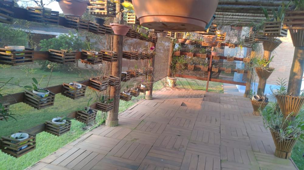 Comprar Rural / Ch&aacute;cara em Ribeir&atilde;o Preto R$ 2.800.000,00 - Foto 49