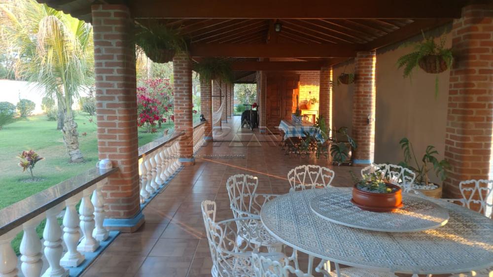 Comprar Rural / Ch&aacute;cara em Ribeir&atilde;o Preto R$ 2.800.000,00 - Foto 51
