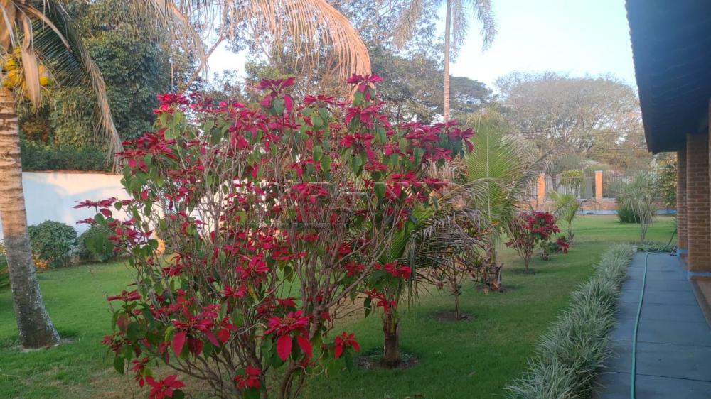 Comprar Rural / Ch&aacute;cara em Ribeir&atilde;o Preto R$ 2.800.000,00 - Foto 55