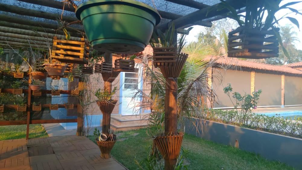Comprar Rural / Ch&aacute;cara em Ribeir&atilde;o Preto R$ 2.800.000,00 - Foto 56