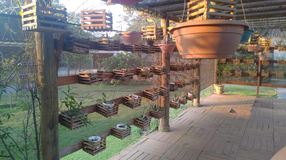 Comprar Rural / Ch&aacute;cara em Ribeir&atilde;o Preto R$ 2.800.000,00 - Foto 57