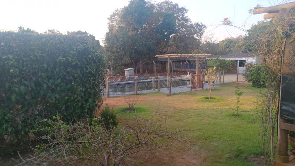 Comprar Rural / Ch&aacute;cara em Ribeir&atilde;o Preto R$ 2.800.000,00 - Foto 62