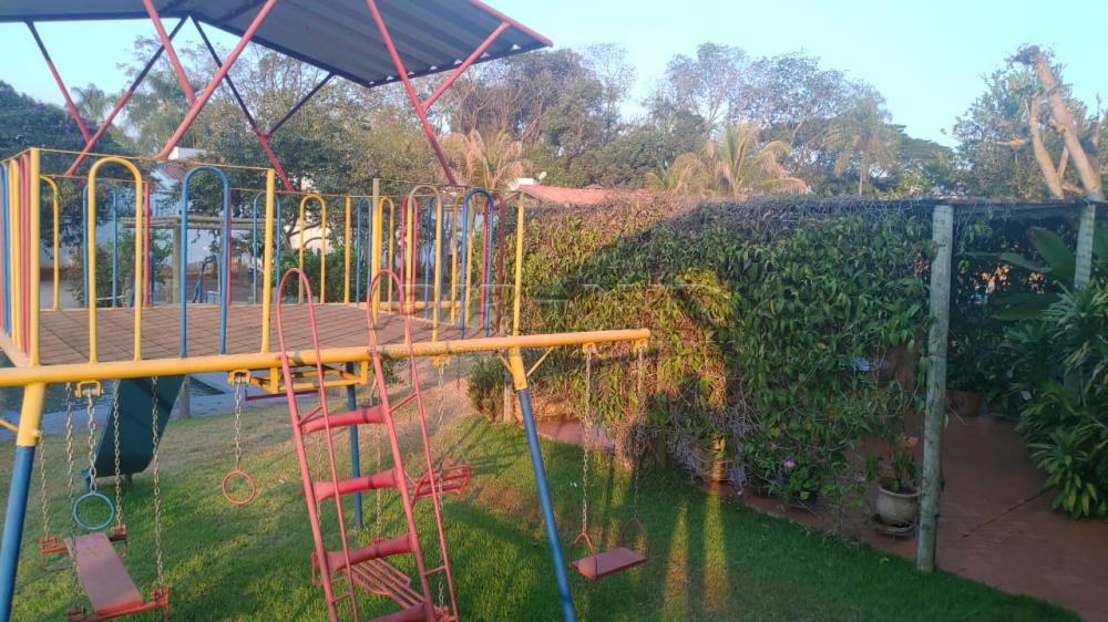 Comprar Rural / Ch&aacute;cara em Ribeir&atilde;o Preto R$ 2.800.000,00 - Foto 63