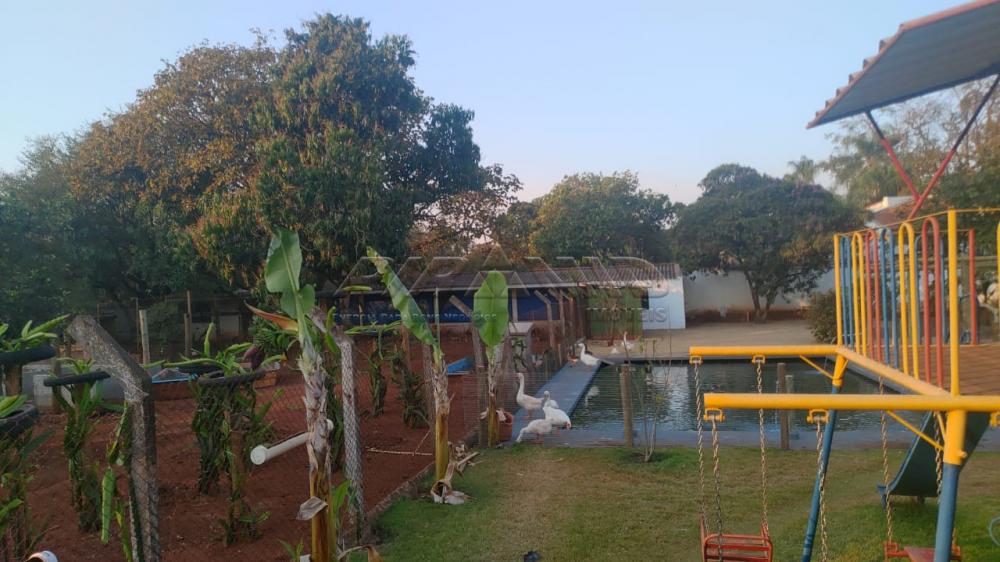 Comprar Rural / Ch&aacute;cara em Ribeir&atilde;o Preto R$ 2.800.000,00 - Foto 66