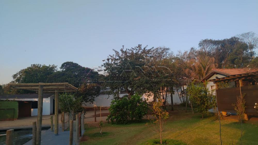 Comprar Rural / Ch&aacute;cara em Ribeir&atilde;o Preto R$ 2.800.000,00 - Foto 71
