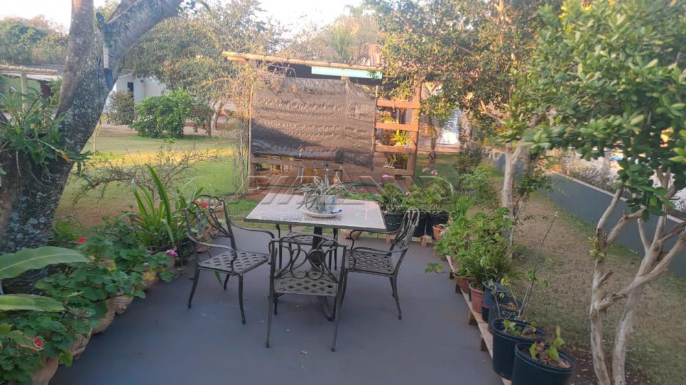 Comprar Rural / Ch&aacute;cara em Ribeir&atilde;o Preto R$ 2.800.000,00 - Foto 73