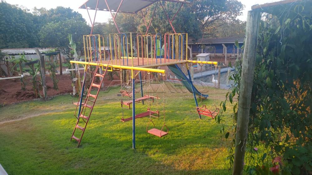 Comprar Rural / Ch&aacute;cara em Ribeir&atilde;o Preto R$ 2.800.000,00 - Foto 74
