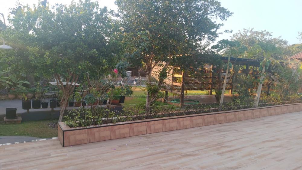 Comprar Rural / Ch&aacute;cara em Ribeir&atilde;o Preto R$ 2.800.000,00 - Foto 75