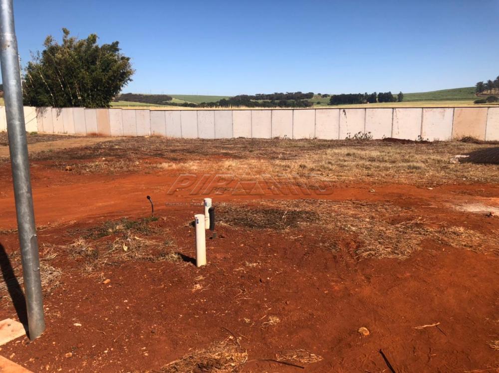 Comprar Terreno / Condom&iacute;nio em Ribeir&atilde;o Preto R$ 420.000,00 - Foto 5