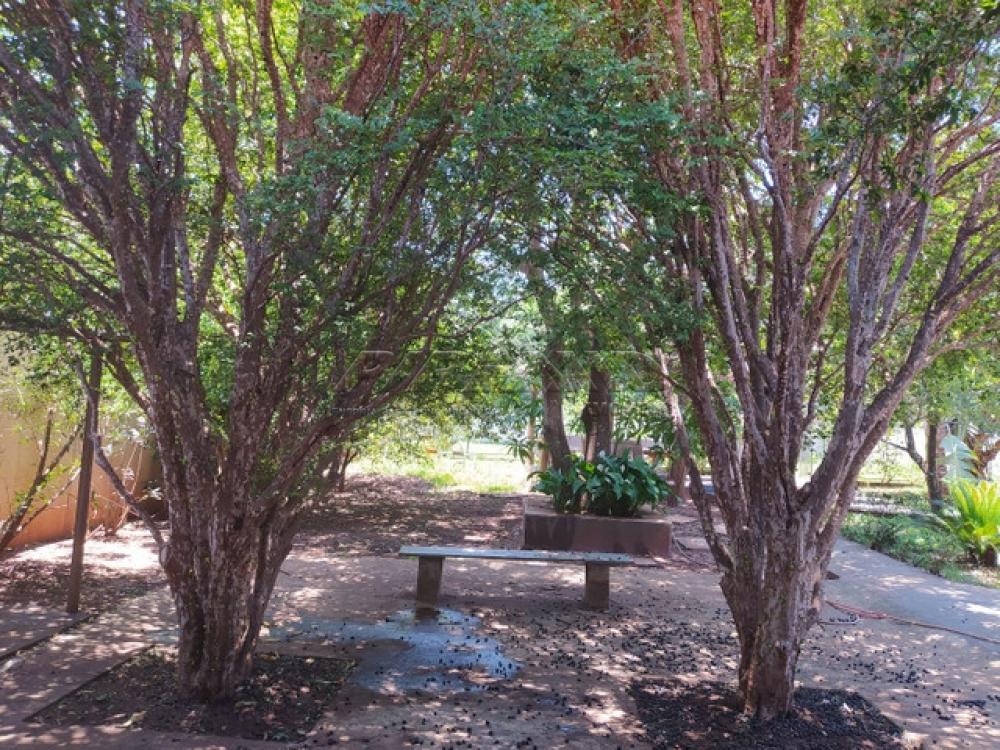 Comprar Rural / Ch&aacute;cara em Ribeir&atilde;o Preto R$ 700.000,00 - Foto 4