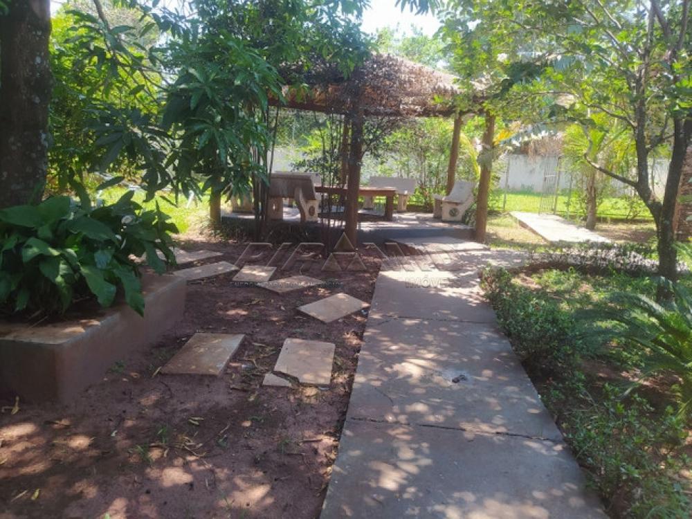 Comprar Rural / Ch&aacute;cara em Ribeir&atilde;o Preto R$ 700.000,00 - Foto 5