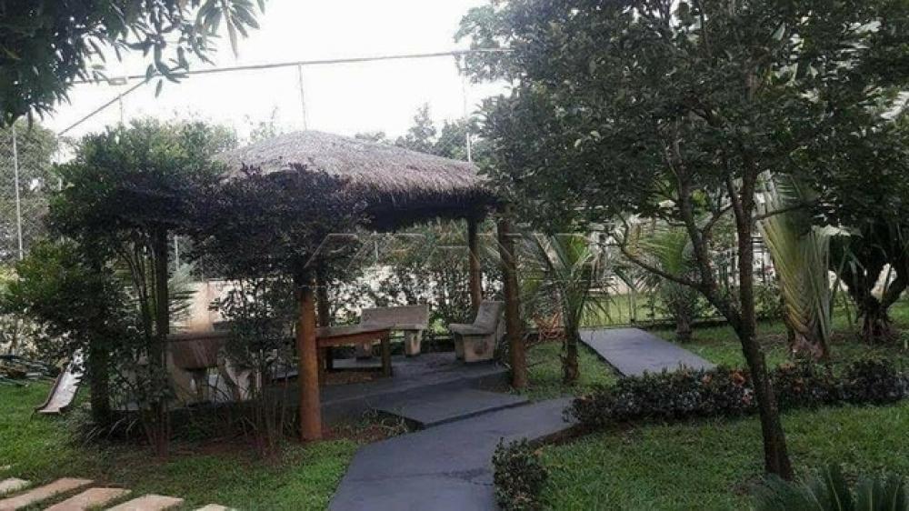 Comprar Rural / Ch&aacute;cara em Ribeir&atilde;o Preto R$ 700.000,00 - Foto 7