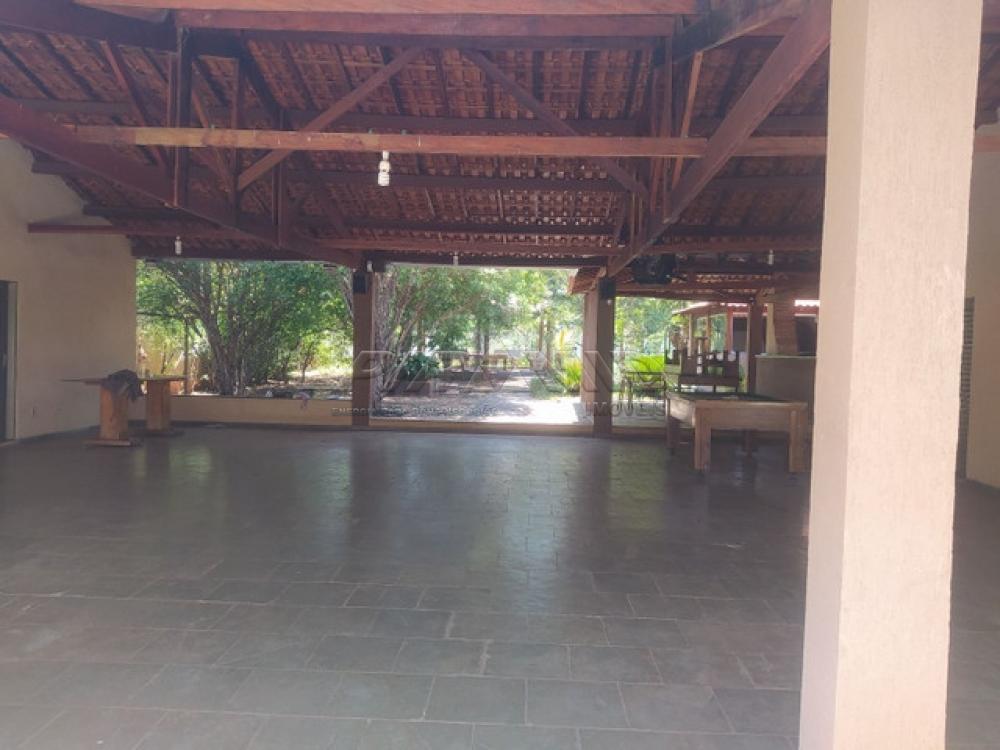 Comprar Rural / Ch&aacute;cara em Ribeir&atilde;o Preto R$ 700.000,00 - Foto 12