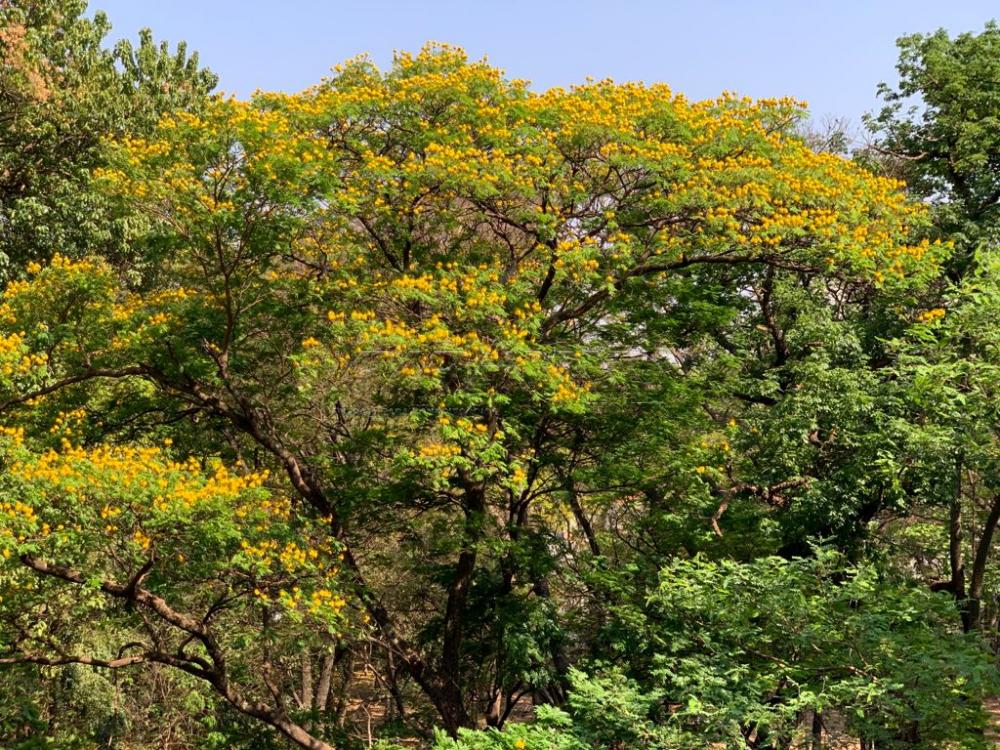 Comprar Apartamento / Padr&atilde;o em Ribeir&atilde;o Preto R$ 480.000,00 - Foto 7