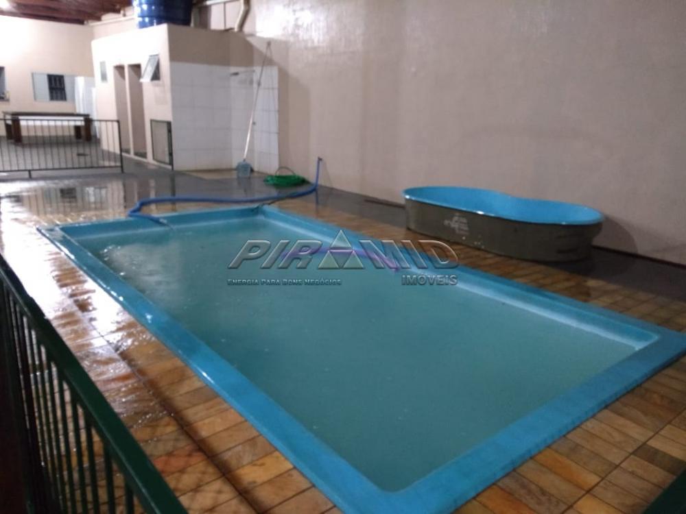 Alugar Casa / Padr&atilde;o em Ribeir&atilde;o Preto R$ 2.400,00 - Foto 9